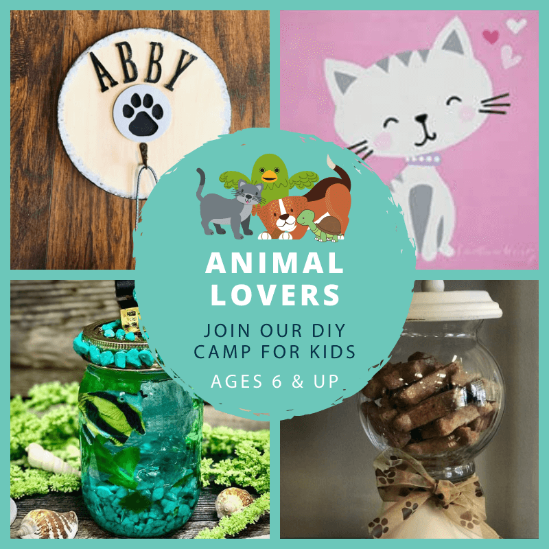 Maker's Summer Camp - Week 1 - Animal Lovers - Ages 6+